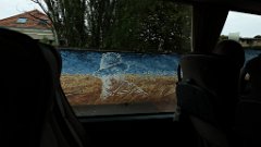 samedi (38)